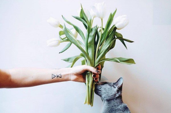 Креативные идеи тату 2026 для девушек – модные тренды на фото