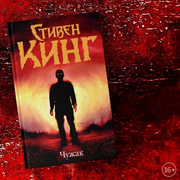 Лучшие книги-бестселлеры 2026 для женщин: рейтинг ТОП-15 книг