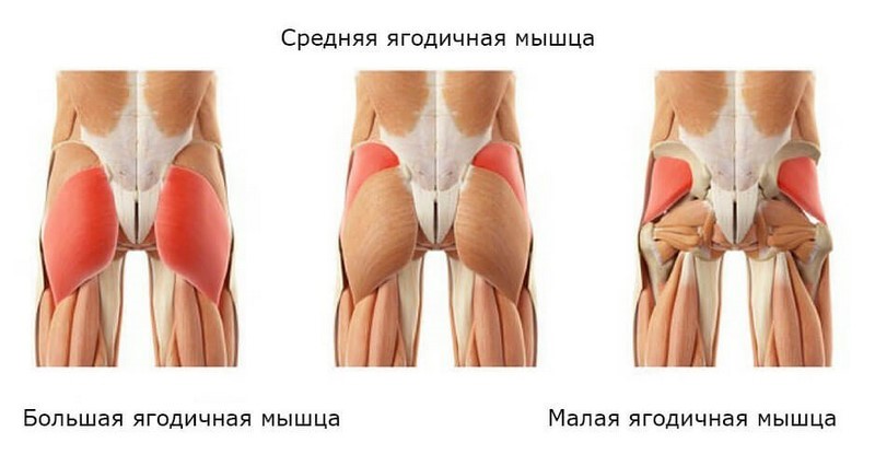 Как сделать ягодицы упругими, а ноги стройными? Эффективные упражнения для ягодиц